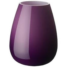 Load image into Gallery viewer, SANNOLIK Vase, 17 cm (6 ¾ &quot;)
